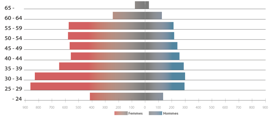 rg2023-graph-fhv-pyramide Graphique Répartition des effectifs en EPT par âge et par genre 2023