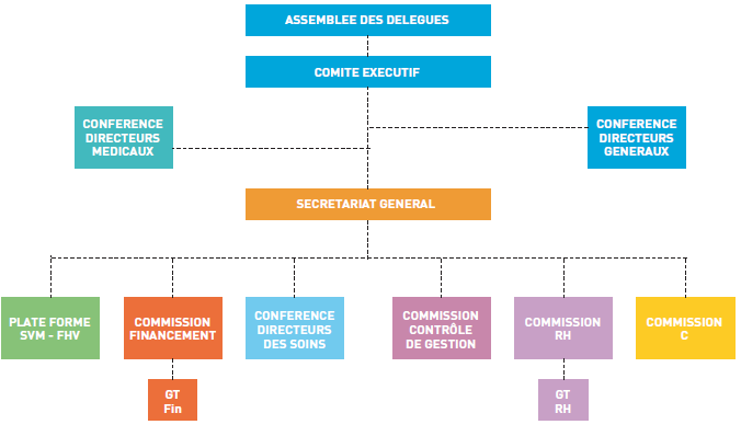Organisation de la FHV, 2008
