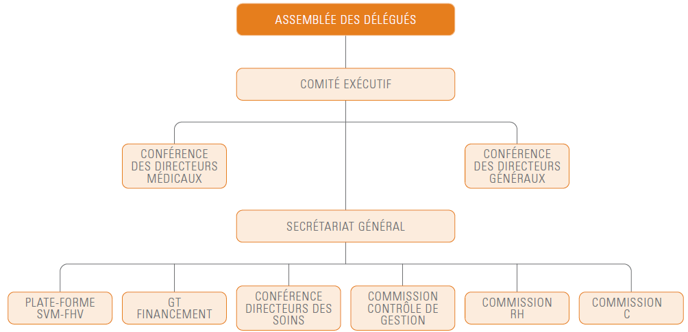 Organisation de la FHV en 2010