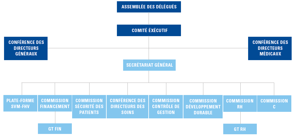 L'organisation de la FHV en 2011