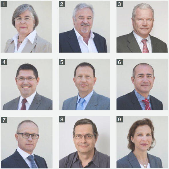 Le Comité exécutif 2013 de la FHV